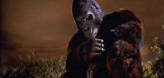 Follow king & kong and others on soundcloud. King Kong Mp4 Video Free Download Peatix