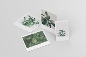 Free psd polaroid photo frame. Pin On Photoshop Actions Photo Editing