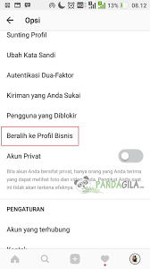 Cara Mengubah Akun Instagram Dari Pribadi Menjadi Instagram Bisnis Instagram Persandian Pengikut