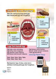 Check spelling or type a new query. Gigi Dan Pencernaan