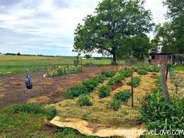 No matter how small or how large the job we will work with you to find the perfect price and provide you with all the landscaping tools you need. The Ultimate Guide To Finding And Using Free Mulch Simplify Live Love