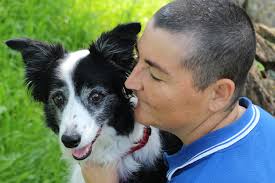 Pawsome Pet Pawtraits by Leandre Wilson