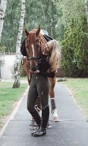 horseridingstylebeautiful reitermode pferd und reiter schone pferde