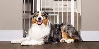 He ranks the following colors in the low to medium range, generally: Best Dog Gates Of 2021