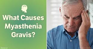 Myasthenia gravis (mg) is an autoimmune disorder that causes profound muscle weakness. Ø§Ù„ÙˆÙ‡Ù† Ø§Ù„Ø¹Ø¶Ù„ÙŠ Ø§Ù„ÙˆØ¨ÙŠÙ„ Ø£Ù…Ø±Ø§Ø¶ Ø§Ù„Ù…Ù†Ø§Ø¹Ø© Ø§Ù„Ø°Ø§ØªÙŠØ© Ù…ØªÙ„Ø§Ø²Ù…Ø© Ø§Ù„ÙˆÙ‡Ù† Ø§Ù„Ø¹Ø¶Ù„ÙŠ 2021