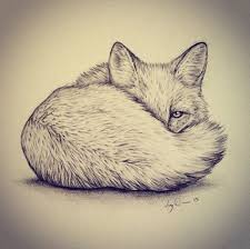 Drawing Simple Fox Tattoo Ideas 26 Ideas Animal Drawings Fox Tattoo Animal Tattoos