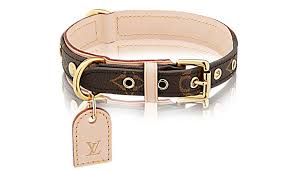 ✅ free shipping on many items! Designer Dog Collars Australia S Coolest Pet Supplies Tech Tails