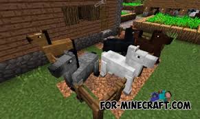 I have the horse tack mod (i can link it if you know of a better one lmk) and realistic horse. Horses Mod For Minecraft Pe 0 10 5 Page 2