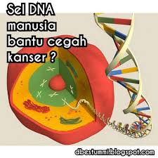 Pin On Kesihatan