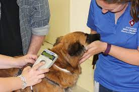 San antonio pet vaccinations clinics: Vaccinations