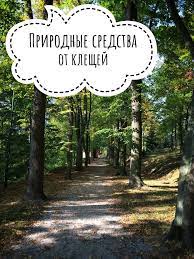 naturalnye sredstva ot kleshej podorozhniki naturalnye sredstva himiya poezdki