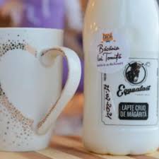 Lapte De Magarita Bacania Lui Tomita