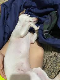 Abby Perales (@abbyperalitos) • Instagram photos and videos