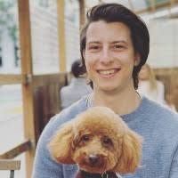 40+ "Lyren" profiles