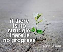 If There Is No Struggle There Is No Progress Fredenck Douglass Quote