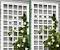 Lattice Wall Decor