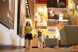 Puritan's perks is a loyalty program that treats our customers like family.membership is complimentary and allows you to earn points every time you shop with us, refer friends or leave a product review.you. 7 Companies As Cool As Facebook And Hiring Now Glassdoor