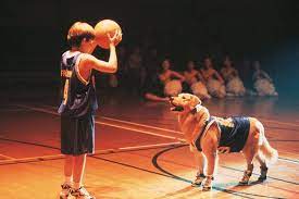 Air Bud Champion Auf Vier Pfoten Fernsehserien De