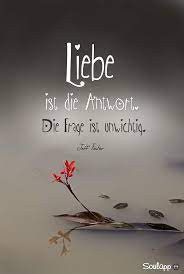 510 Love Zitate Ideen Zitate Spruche Spruche Zitate