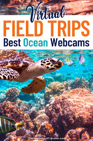 Pin On Educational Travel Virtual Field Trips