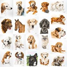 Why you should choose portraitflip? Custom Pet Portrait In Watercolor Charmcat Creative