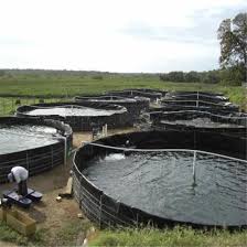 Back then a pond liner distributor could obtain pond liner for about 25 cents a square foot. China Best Price 40 60 80 Mils Hdpe Fish Farm Pond Liner For Malaysia Market China Geomembrane For Landfill Geomembrane Liner