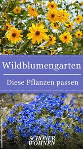 Diese Pflanzen Eignen Sich Sehr Gut Fur Einen Wildblumengarten Garten Gartentipps Sommer Outdoor Gartenideen Summer G Garten Pflanzen Pflanzen Garten