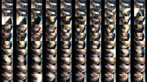 Petit peni - XNXX.COM