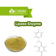 Image result for Lipase