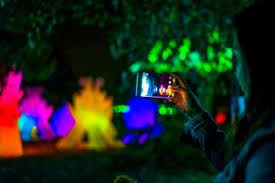 Oakland Zoo Lights 100 Things To Do San Francisco Holiday Zoo Lights