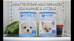 The best puppy milk replacers offer all the macronutrients and micronutrients to help a young puppy grow healthily. Storage Tips For Milk Replacers Petag En Us