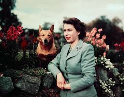 Philip mountbatten, tidlegare glücksburg, var opphavleg gresk statsborgar, med titlane prins av hellas og danmark.han gav avkall på desse titlane og statsborgarskapet for å gifta seg med den dåverande prinsesse elizabeth. Dronning Elizabeth Ii Og Alle Hundene Hennes