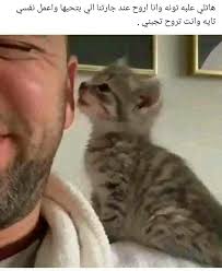 Pin By Salah Kullab On اضحك يا نكدي In 2020 Funny Dude Funny Animals Funny Animal Videos