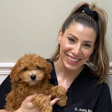 Meet Our Hillsborough Veterinarians