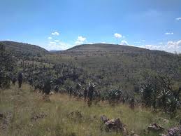 Looking companies by tag hoogland health hydro in south africa? Wikiloc Hoogland Health Hydro Trail