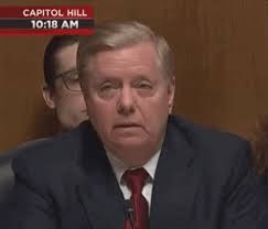 Imgflip pro basic removes all ads. It Is Over Lindsey Graham Gif By Giphy News Find Share On Giphy