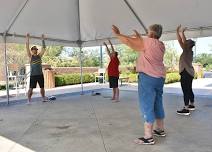 Tai Chi: From Skill to Mastery Summer Series