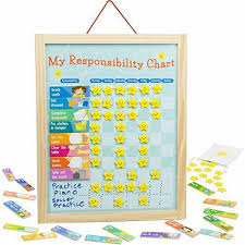 my responsibility chart magnetic dry erase wooden chore w storage bag 24 goals