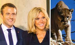 Know answer of question : Portugalski Stranac Natjecatelji Cougar Urban Dictionary Puma Smart Kit Org