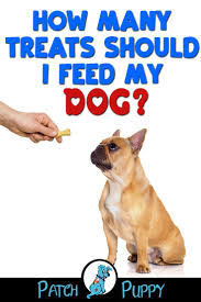 How Many Treats Should I Feed My Dog Once You Have Treats You Know Are Safe And Healthy For Your Dog You Need To Know Dog Care Overweight Dog Dog Health