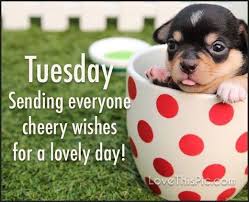 Good morning tuesday quotes wish your friends, and beautiful love we have the best collection for you, send our quotes with your friends and also become a partner in our growth. Happy Tuesday Tuesday Quotes Good Morning Morning Quotes For Him Tuesday Quotes