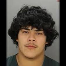 Christopher Pineda-Gasca, a 21-year-old from North East, Maryland, has  received a 16 to 32-year prison sentence for pleading guilty to  third-degree murder and related charges. The charges are linked to an April