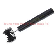 Lan sung lom, lăn sừng lõm, lan sung lom dien chan