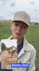 Angel Horse Breeding és Lovasközpont