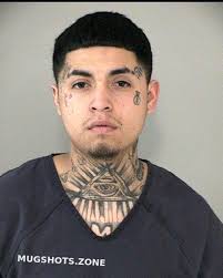 RIVAS ERVIN ARIEL 05/15/2023