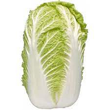 Di seguito puoi consultare l'elenco completo delle ricette per la cui realizzazione è stato usato proprio l'ingrediente cavolo cinese. Cavolo Cinese Ortaggio Sfuso Kg 1 Acquistalo Su Cicalia Com