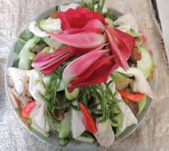 Image result for Sesbania keniensis