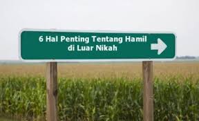 Adapun ungkapan yang mengatakan, tidak dapat masuk surga anak hasil zina, maka ini adalah hadits maudhu (palsu). 6 Hal Penting Tentang Hamil Di Luar Nikah Konsultasi Agama Dan Tanya Jawab Pendidikan Islam