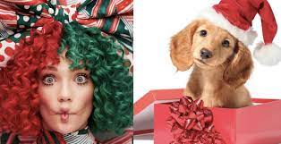 Puppies are forever is a song taken from sia's christmas album, everyday is christmas. You Can Finally Hear Sia S Puppies Are Forever Cool Accidents Music Blog