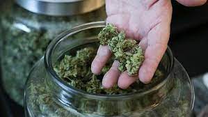 Barcelona´s original specialty coffee shop: Iceberg Weed Coffeeshop Home Facebook